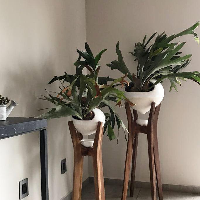 middle