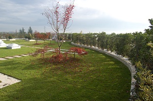 middle