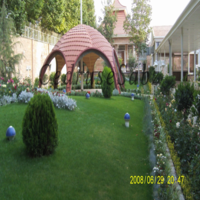 Consultant, design and Landscaping of courtyard in Karaj   