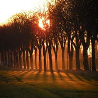 Construction of Mehrshahr Refrigerator green space  